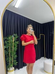 Kolları Gül Detaylı Şık Elbise